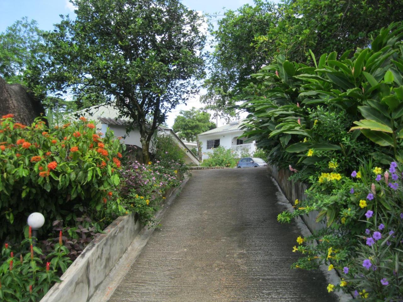 Chepsted Chalets Glacis  Buitenkant foto