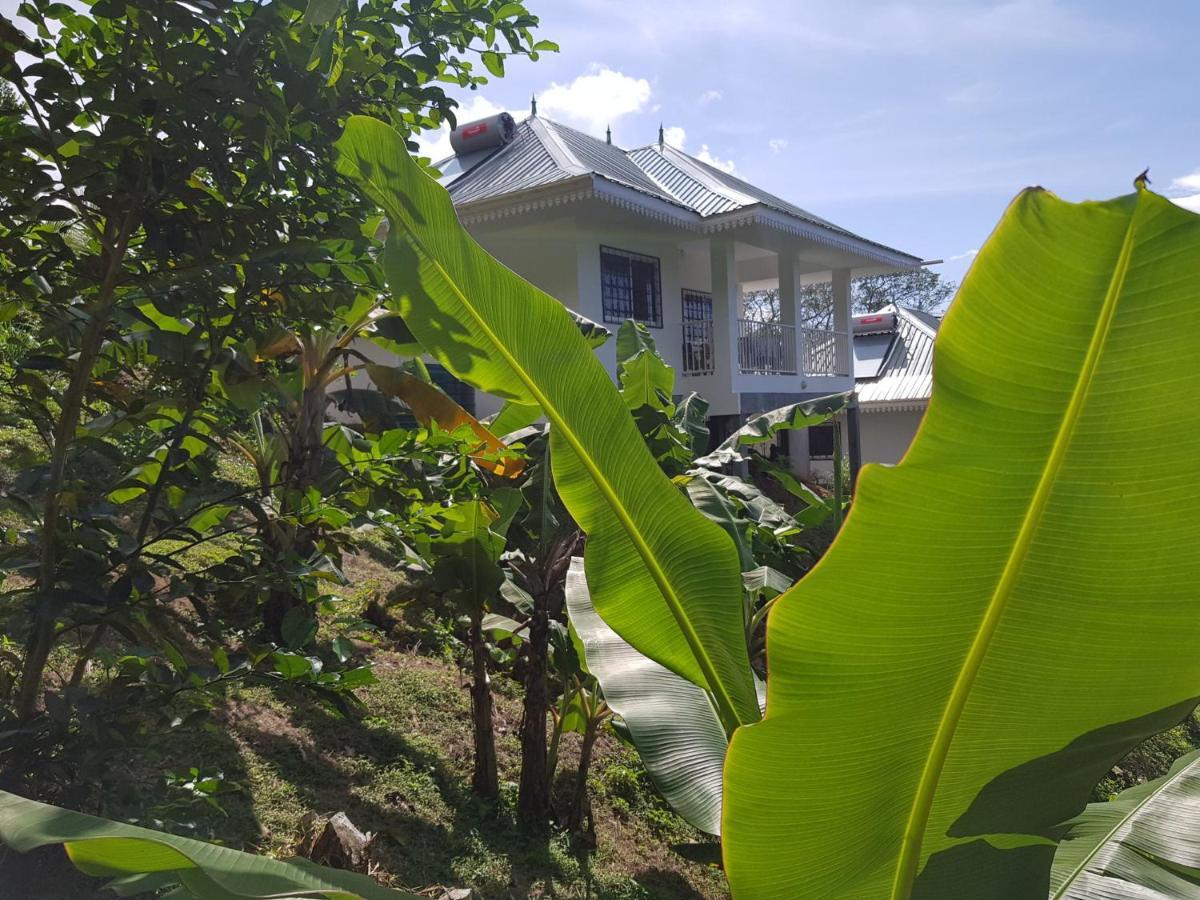 Chepsted Chalets Glacis  Buitenkant foto